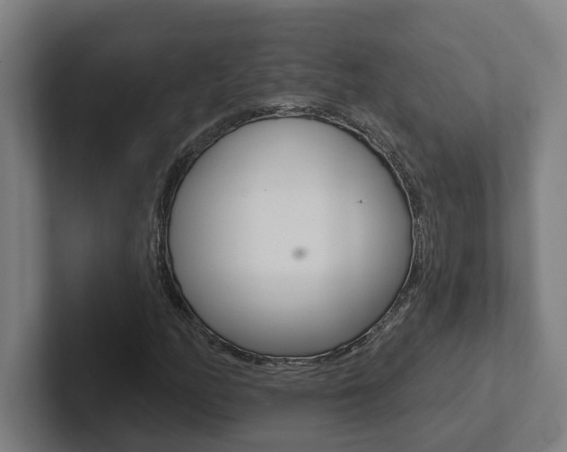 X0000102871158200808181040