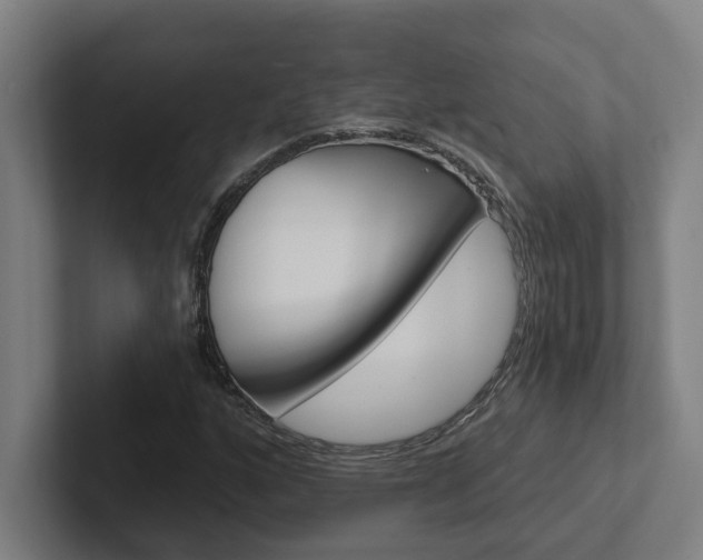 X0000102871160200808181040