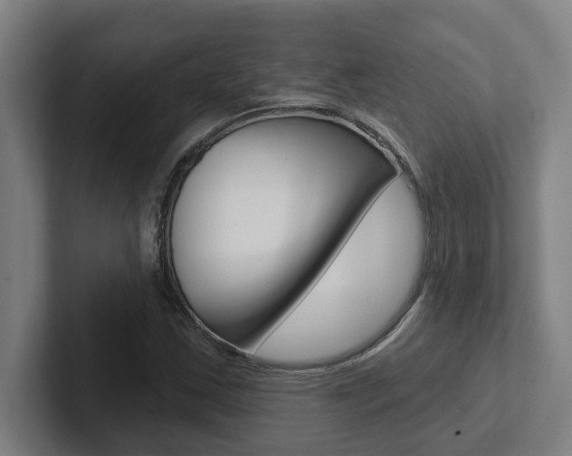 X0000102871163200808181040