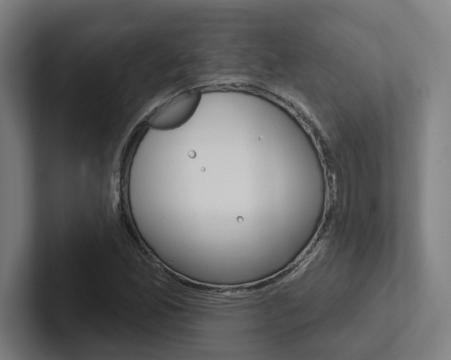 X0000102871165200808181040