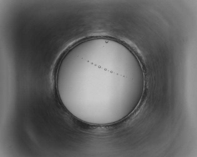 X0000102871167200808181040