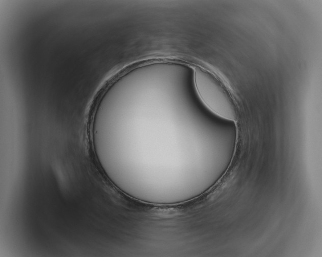 X0000102871168200808181040