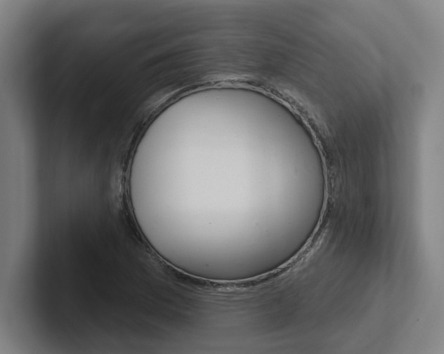 X0000102871169200808181040