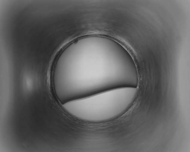 X0000102871173200808181039