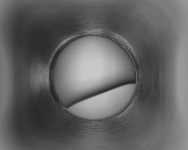 X0000102871174200808181039