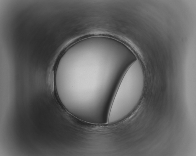 X0000102871175200808181039