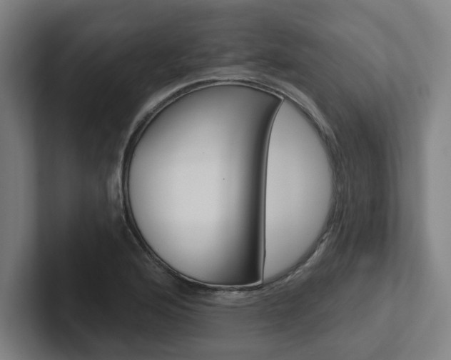 X0000102871176200808181039
