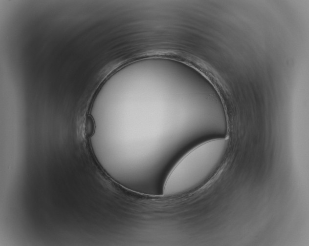 X0000102871177200808181039