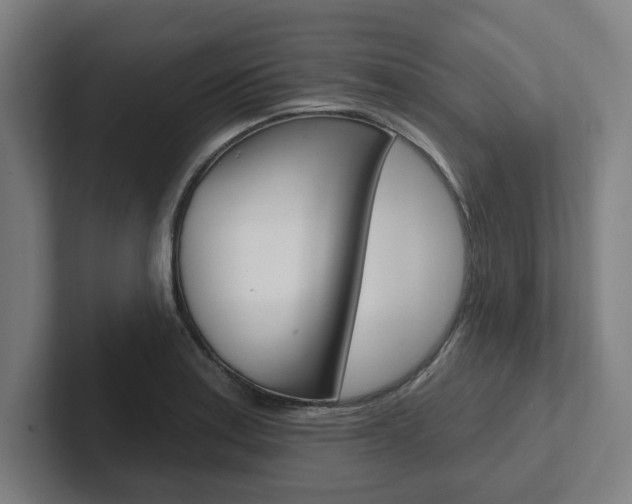 X0000102871179200808181039