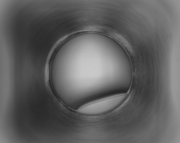 X0000102871180200808181039