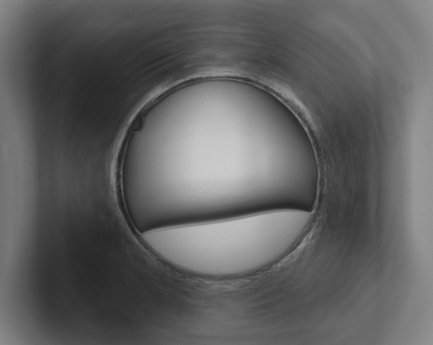 X0000102871181200808181039