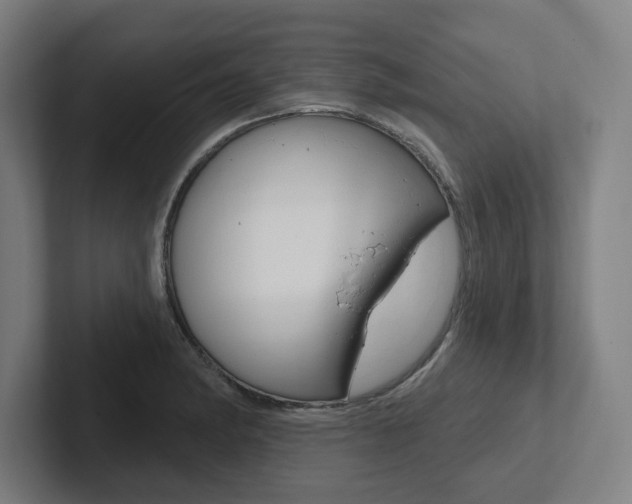 X0000102871182200808181039