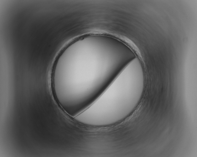 X0000102871183200808181039