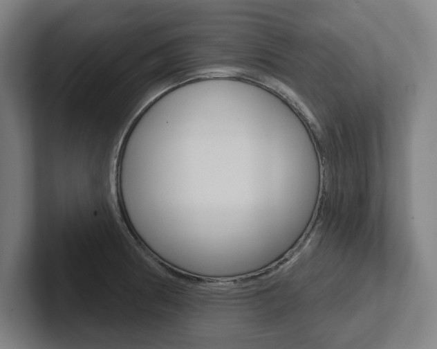 X0000102871186200808181039