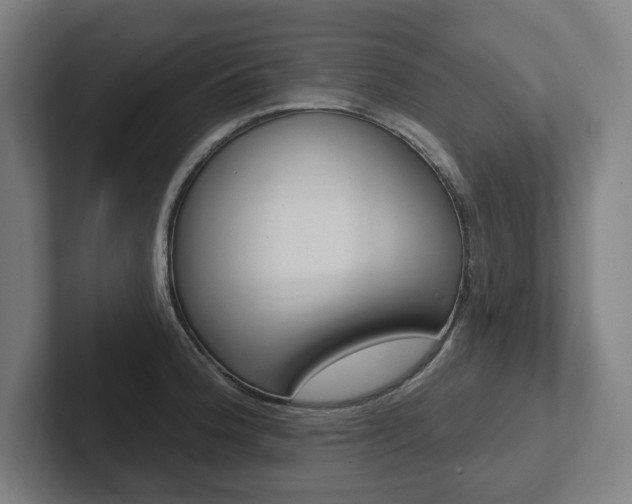X0000102871188200808181039