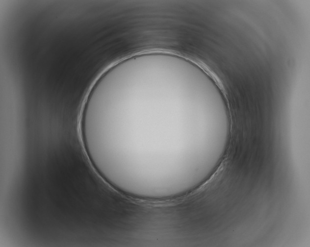 X0000102871189200808181039
