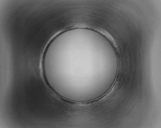 X0000102871190200808181039
