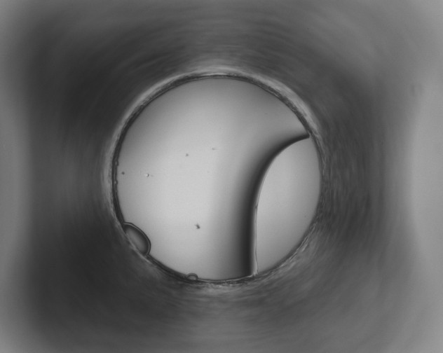X0000102871191200808181039