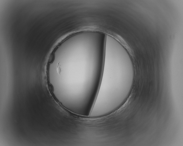 X0000102871192200808181039
