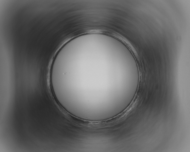 X0000102871194200808181039