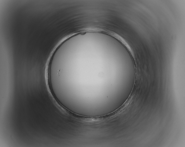 X0000102871195200808181039