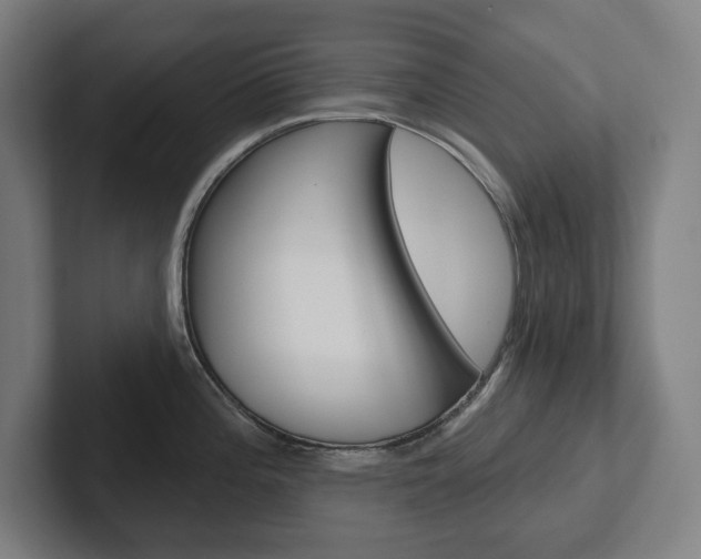 X0000102871196200808181039