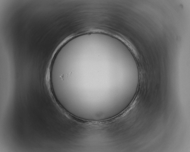 X0000102871198200808181039