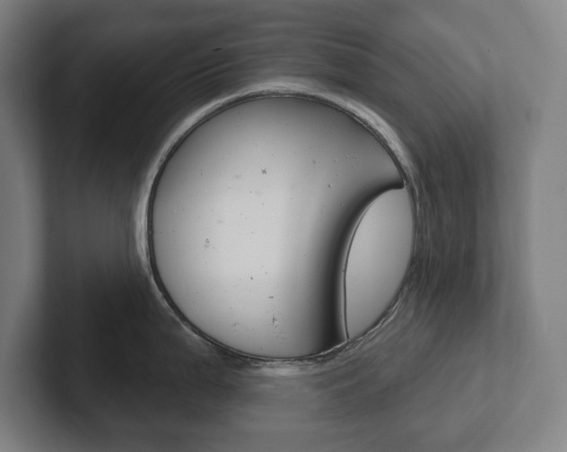 X0000102871199200808181039