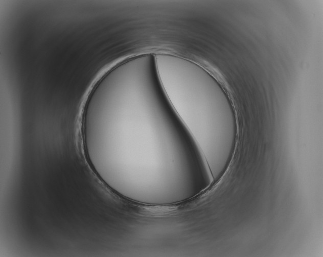 X0000102871200200808181039