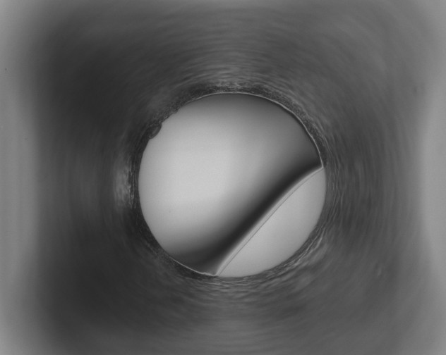 X0000102871202200808181039