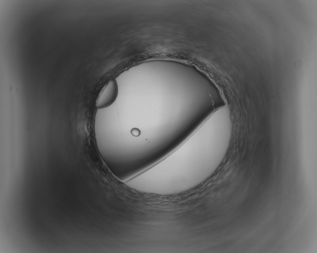 X0000102871206200808181039