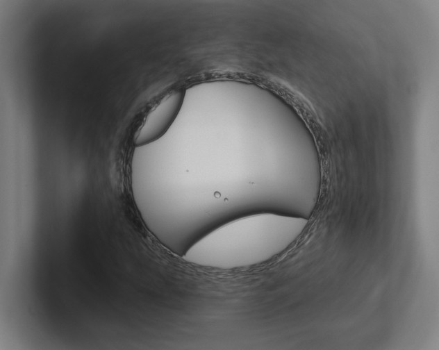 X0000102871207200808181039