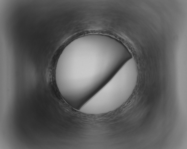 X0000102871208200808181039
