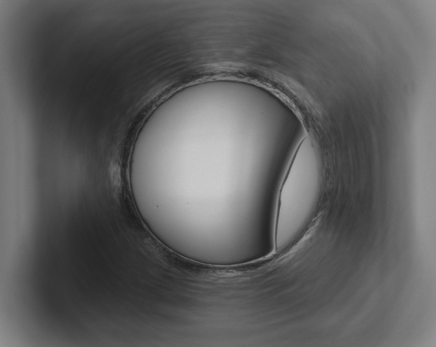X0000102871209200808181039