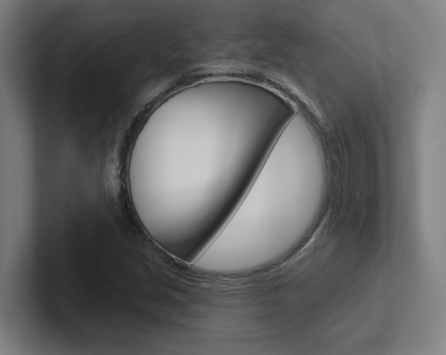 X0000102871213200808181039