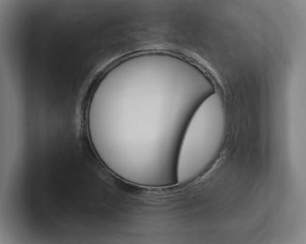 X0000102871215200808181039