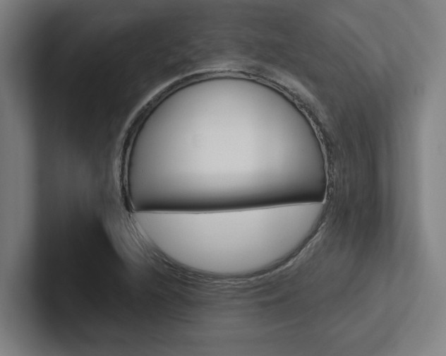 X0000102871216200808181039