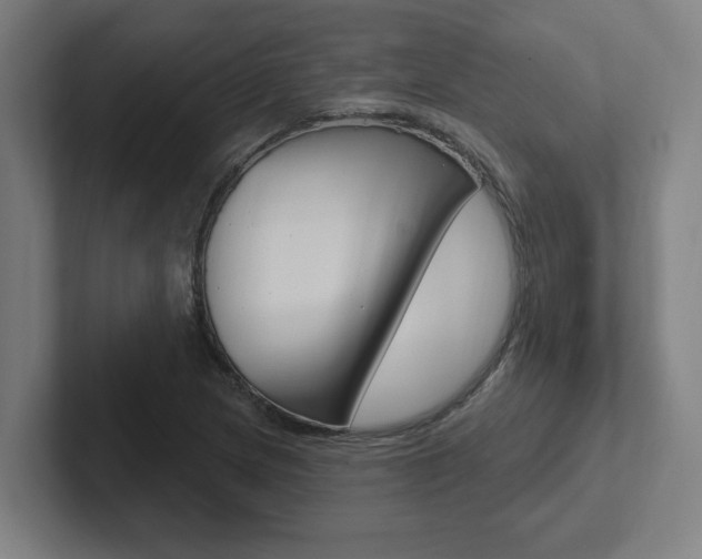 X0000102871217200808181039