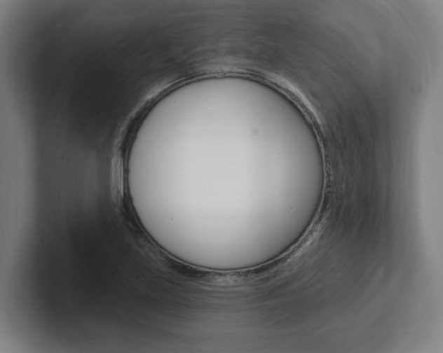 X0000102871219200808181039
