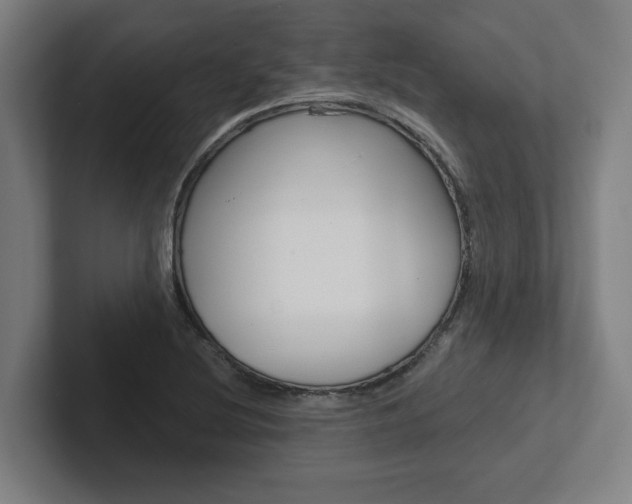 X0000102871220200808181039