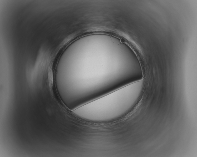 X0000102871221200808181039