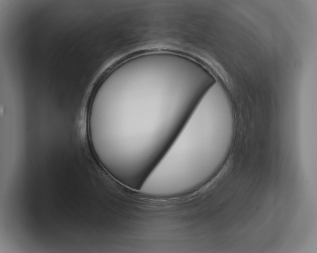 X0000102871224200808181039