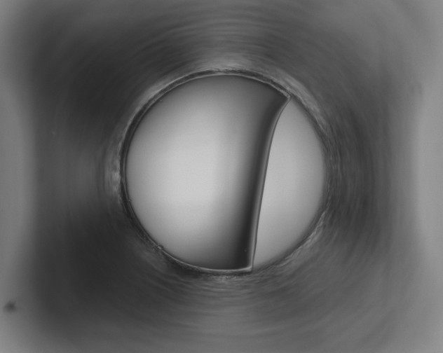 X0000102871226200808181039