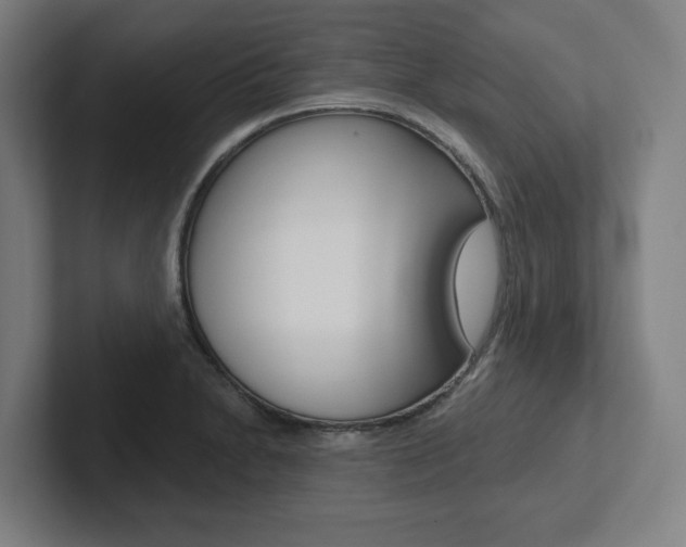 X0000102871230200808181039