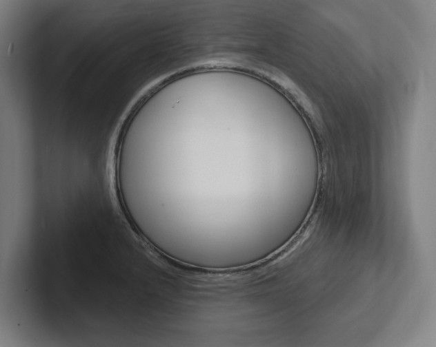 X0000102871232200808181039