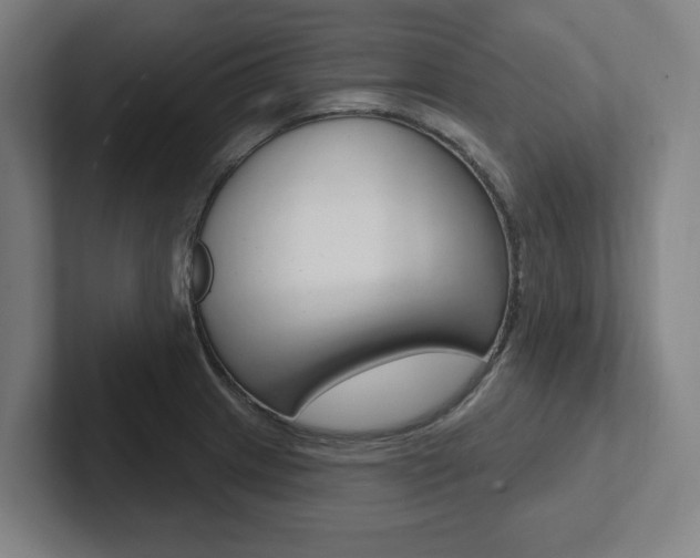 X0000102871233200808181039