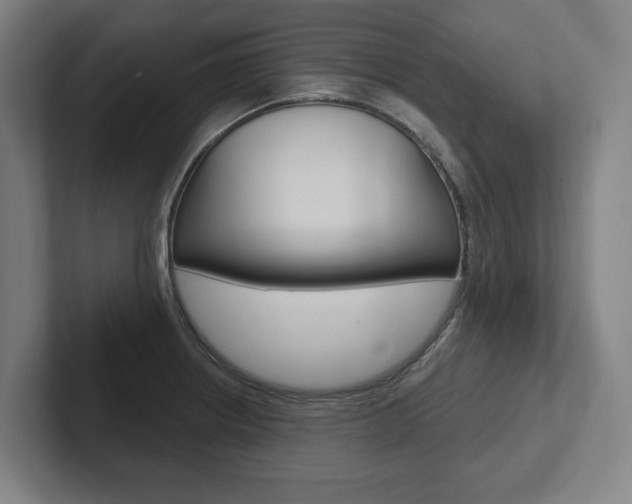 X0000102871234200808181039