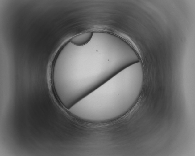 X0000102871235200808181039