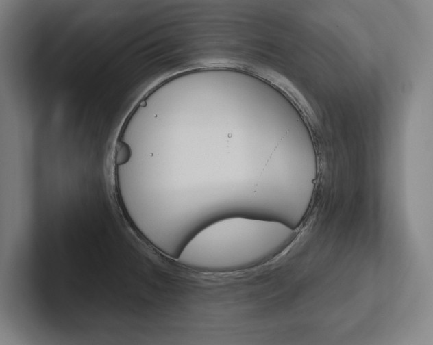 X0000102871236200808181039