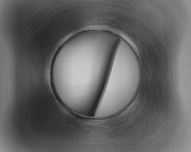 X0000102871237200808181039